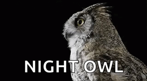 night owl