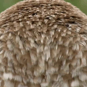 WeI