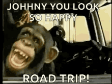 monkey-road-trip