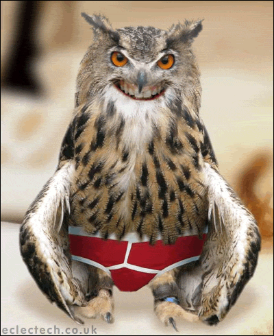 An owl in pants